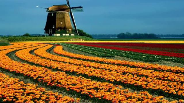 蔡依林(Jolin Tsai) - 詩人漫步(Wandering Poet)(俏皮機長 片頭曲) (鋼琴獨奏) смотреть онлайн