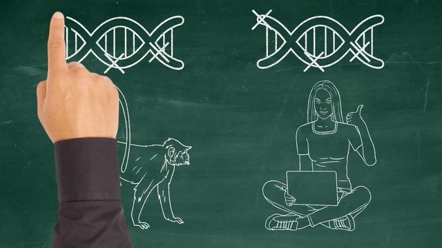 Одинаковые ошибки в ДНК человека и шимпанзе — признак эволюционного родства? смотреть онлайн