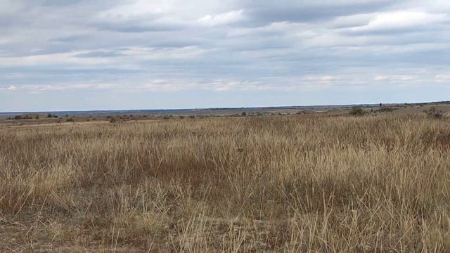 земли Сх Севастополь. от 200тр за 1 га. участки от 1.5 га. возможно построить капитальный жилой дом смотреть онлайн