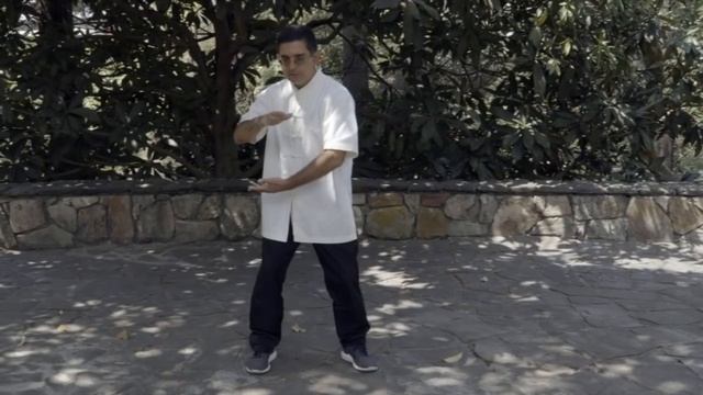 Tai Chi Forma 24 - Tutorial - Clase #1-