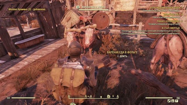 Fallout 76 смотреть онлайн