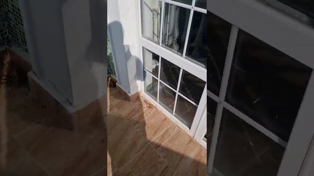 Квартира в Сочи с видом на море в рассрочку недорого! 8-919-444-66-55 смотреть онлайн