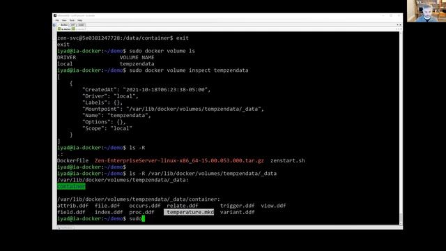 Actian Zen with Docker Kubernetes Helm Demonstration смотреть онлайн