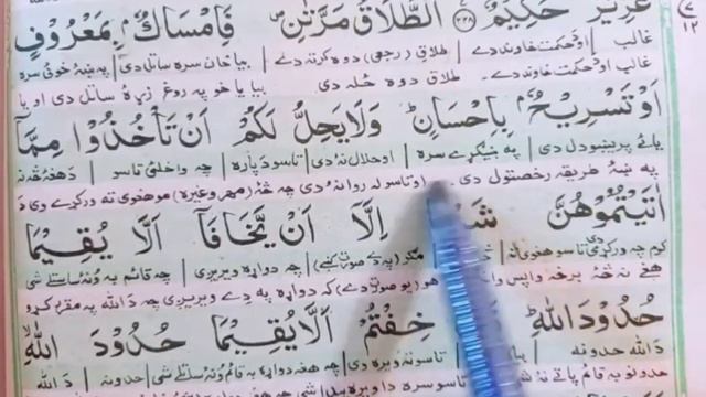 surah baqarah 226-230 ayaat | quran pashto tarjuma | #pukhtanakhor #surahbaqarah #quran #learning смотреть онлайн
