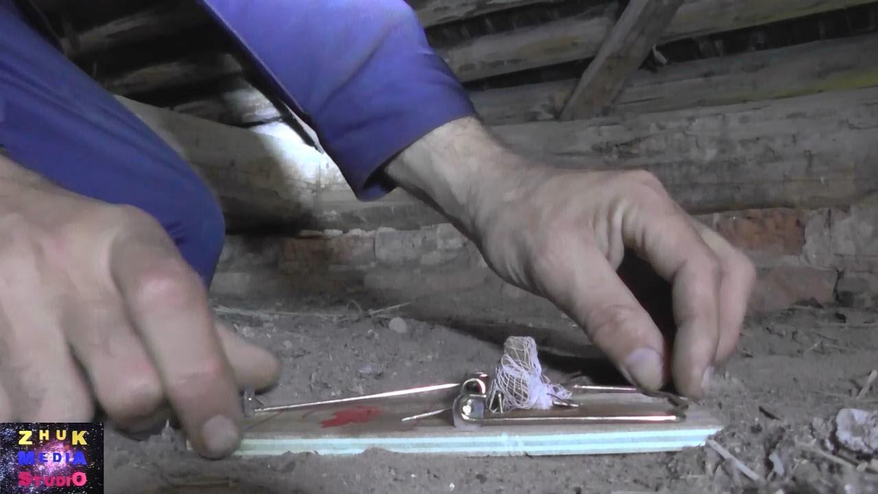 Мыши и капканы смотреть онлайн