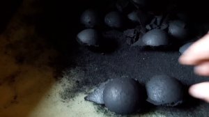 Станок для древесного угля