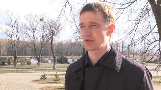 Как в Пинске спасают деревья от паразита омелы