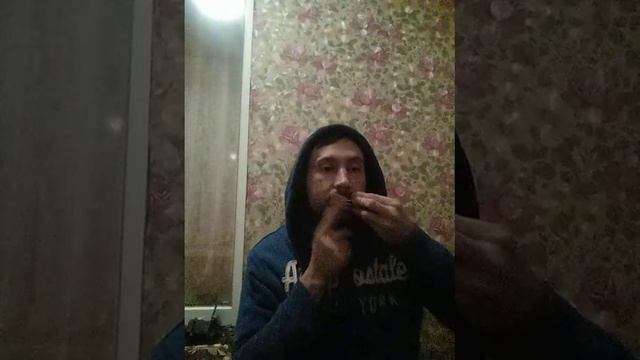 Pavel jaw harp solo смотреть онлайн