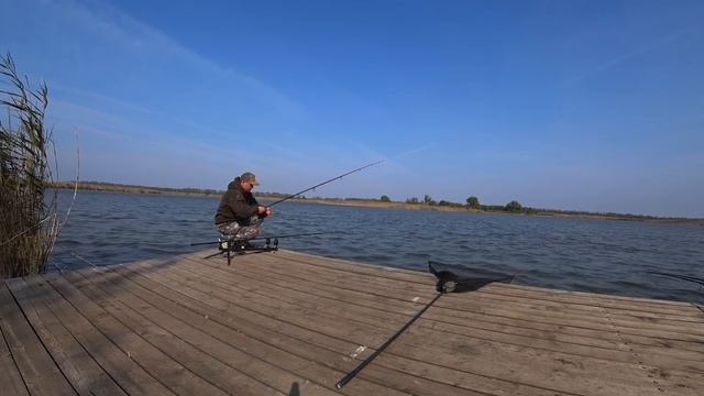 Клюёт и клюёт!!! Жор перед зимовкой? | уловистая насадка для ледяной воды? ЧАСТЬ 1 смотреть онлайн