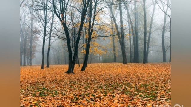 Розвиток мовлення "Пори року. Осінь" Молодший вік смотреть онлайн