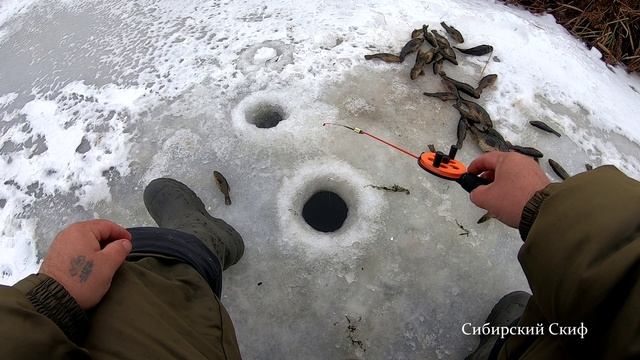 На ротана гиганта на болото. Волосы дыбом от такого ротана смотреть онлайн