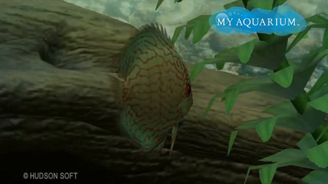 My Aquarium (game) Day 1 смотреть онлайн