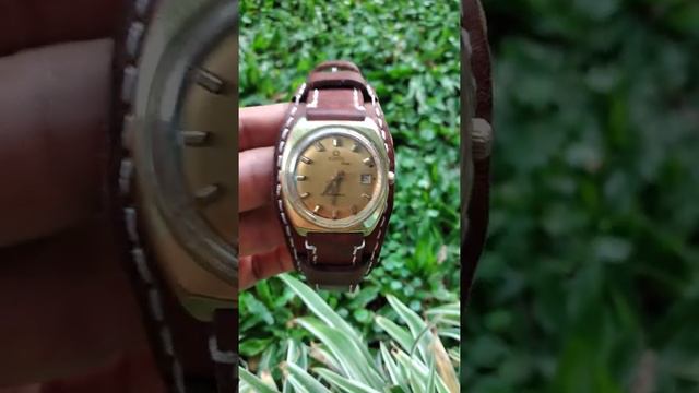 Jam "Solvil et Titus Matic 25 jewels since 1970 Swiss Made" Lapis Emas Strap Kulit "Peterpan Models смотреть онлайн
