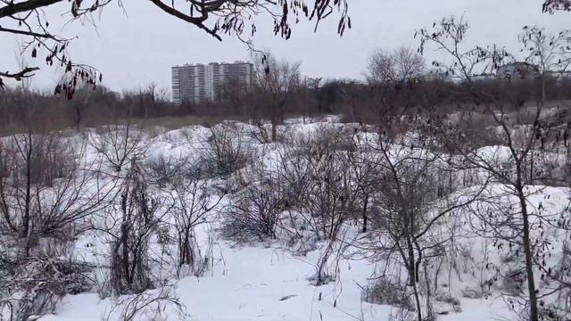 Буду прыгать по кочкам смотреть онлайн