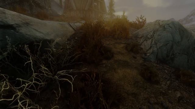 Shirley - A Skyrim Follower Mod (Teaser Trailer)
