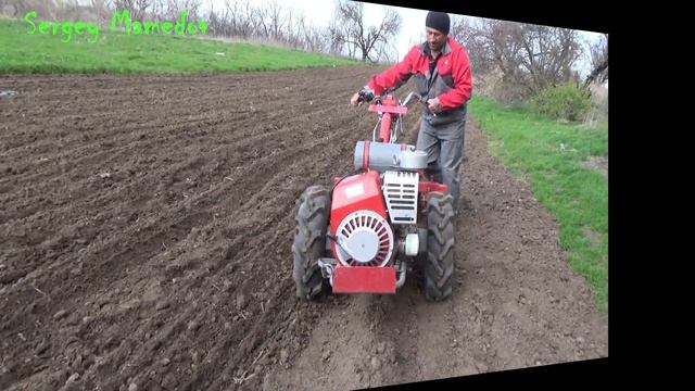 ➤ДОВСХОДОВАЯ ОБРАБОТКА КАРТОФЕЛЯ. смотреть онлайн