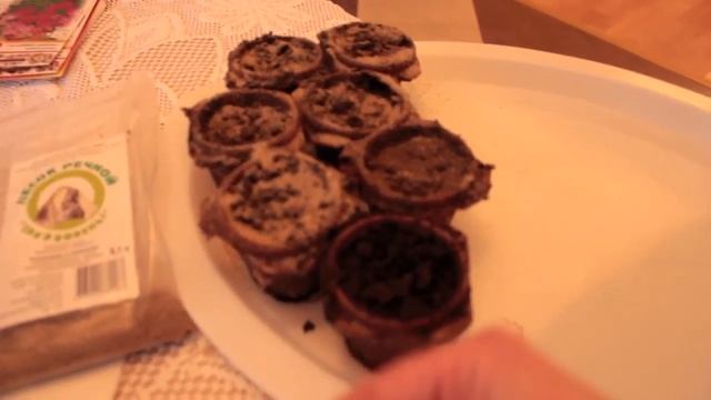 Препарат Фитоспорин-М.Борьба с грибковой плесенью. Первая помощь при образование плесени на рассаде смотреть онлайн