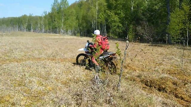 Рейсер форестер и Раптор по болоту!