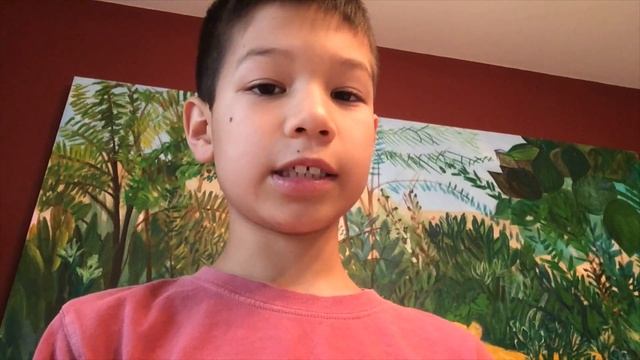 Samsung Galaxy J1 Mini Review