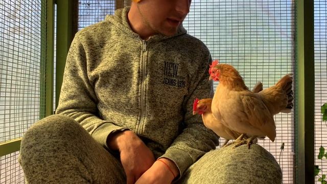 Малазийская Серама ??♂️???????☀️? смотреть онлайн