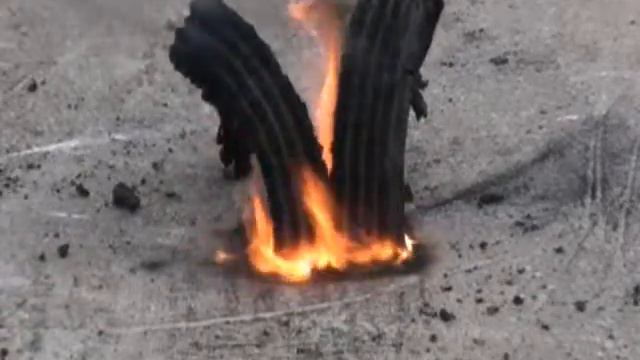 Black Snakes смотреть онлайн