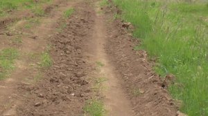 Встреча с медведем.