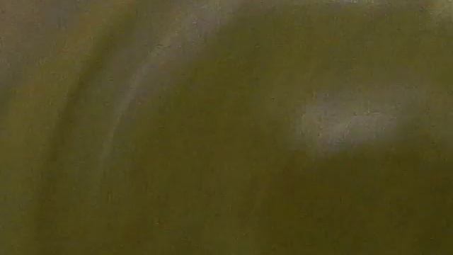 Нашли на даче мини улий , а из него выползло это смотреть онлайн