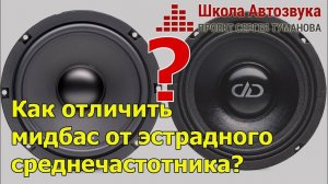 Как отличить мидбасовый динамик от эстрадного  среднечастотника?