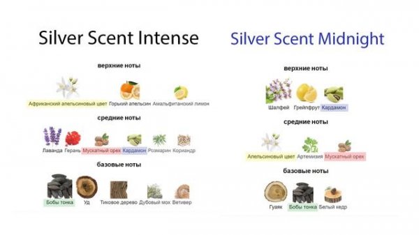 Сравнение двух ароматов Silver Scent Intense Jacques Bogart и Silver Scent Midnight Jacques Bogart