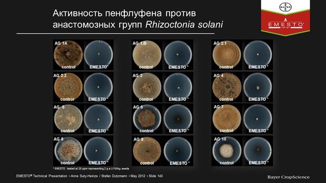Современные технологии защиты овощных культур и картофеля смотреть онлайн