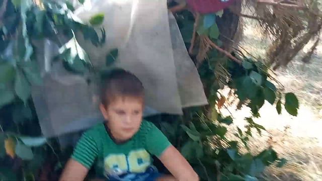 Как нужно делать шалаш? (Давид озвучивает) #2 смотреть онлайн