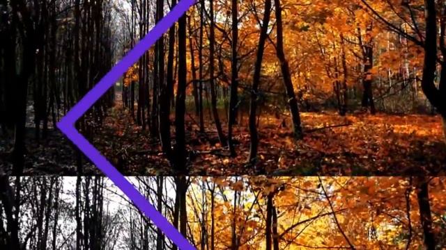 С НАЧАЛОМ НОЯБРЯ смотреть онлайн