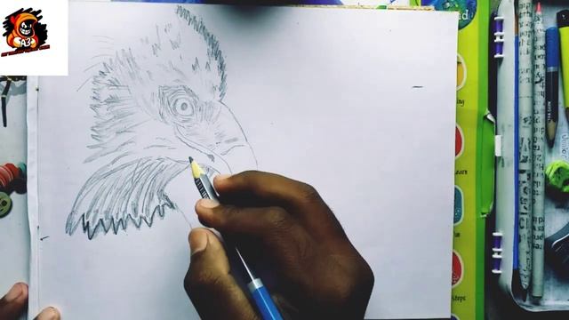 how to draw eagle sketch like a pro //from basic to advance by A3 ANY THING ANY TIME ANY WHERE. смотреть онлайн