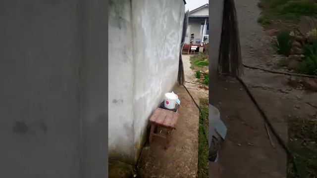 алабай охрана и поощрение смотреть онлайн