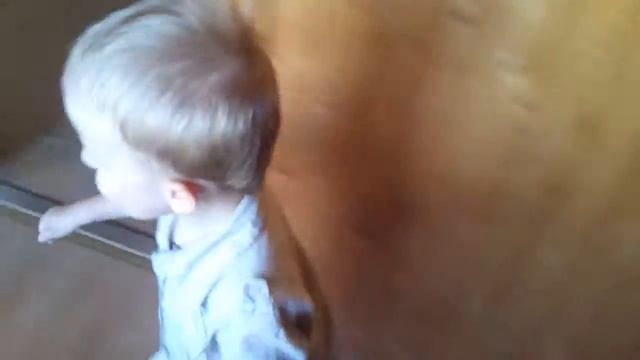 Дикая лягушка прыгает