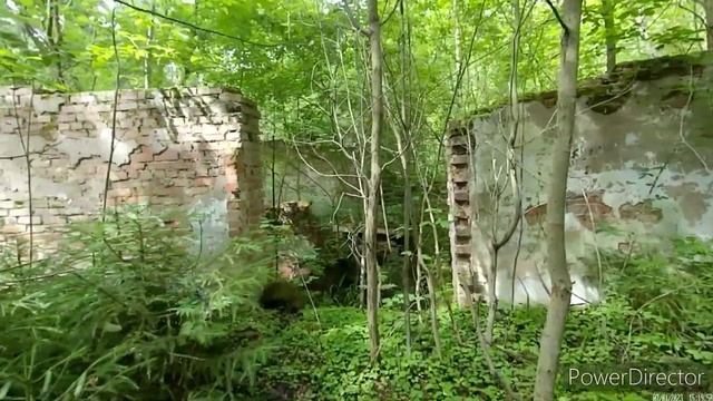 Заброшенный дом в лесу. Руины Дома отдыха из моего детства смотреть онлайн