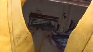Вылов Рыбы В Промышленных Масштабах