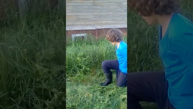 Мастер - класс по стрижке травы серпом. смотреть онлайн