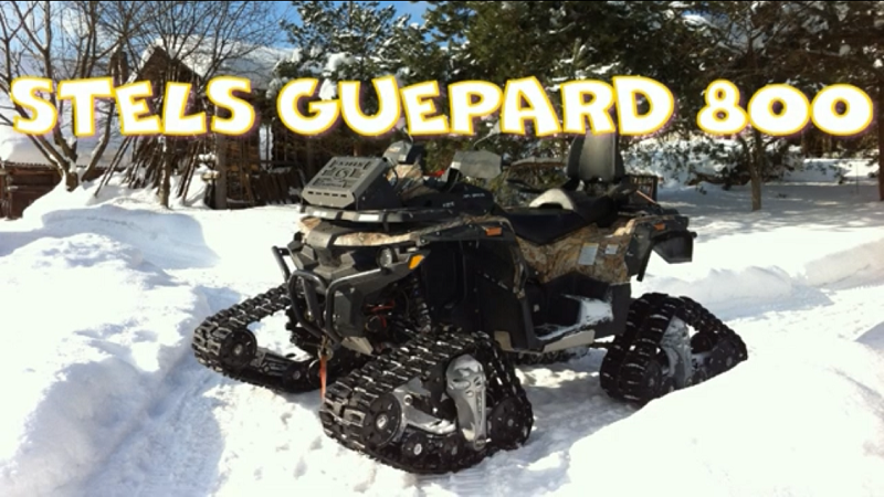 6 лет эксплуатации Stels Guepard 800.