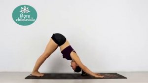 Йога ПРЕСС - Домашняя йога на ВСЕ ТЕЛО - Виньяса йога 30 МИНУТ - Йога chilelavida