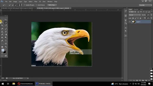 How to Blend Two Images in Photoshop \\ Animals Photo Manipulation || saira tech tip смотреть онлайн