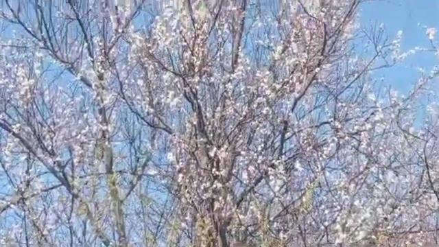 Хорошо сторговалась. смотреть онлайн