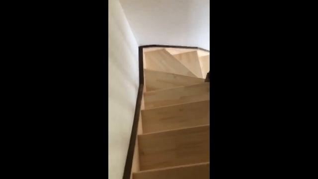 Видео-отчет сборки лестницы в СНТ "Красная Поляна" смотреть онлайн