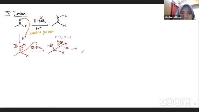 Adisi Nukleofilik pada Karbonil смотреть онлайн