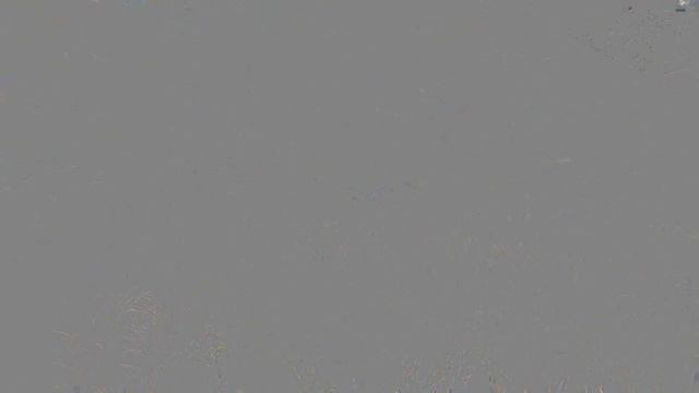 Firewatch - День 1 (Прохождение на русском, 60FPS)