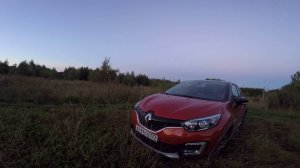 Рено Каптюр/Renault Kaptur в моих лапках на 3 мес