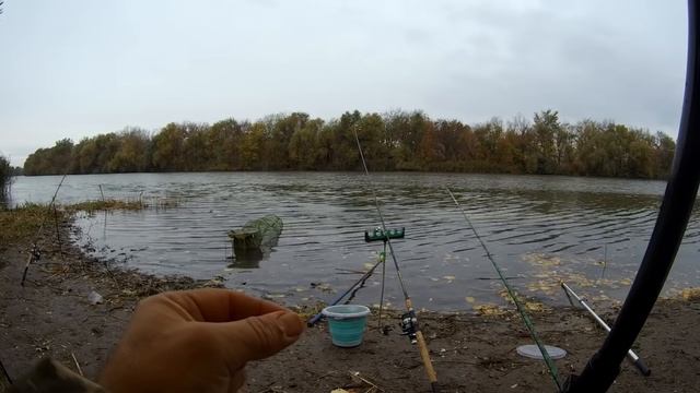 Какой длины поводок на фидере эффективнее/ Новый фидерный монтаж. смотреть онлайн