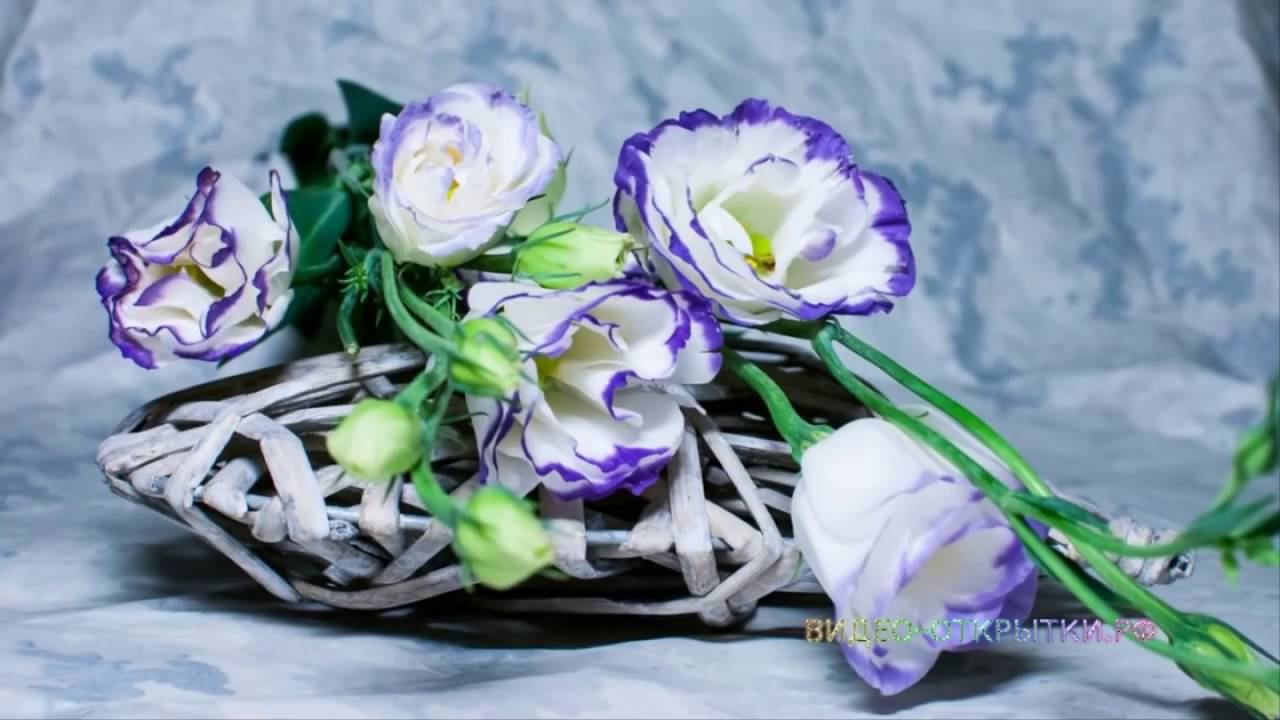 ВЕРА, НАДЕЖДА, ЛЮБОВЬ смотреть онлайн