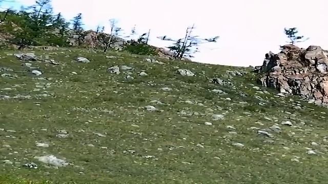 природа хакасии.wmv смотреть онлайн