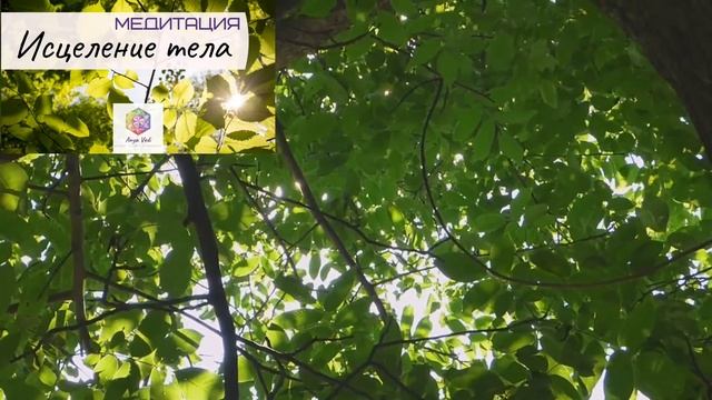 ТЕТА МЕДИТАЦИЯ "Исцеление тела" смотреть онлайн